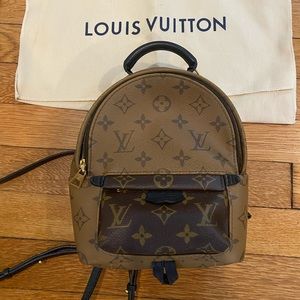 Louis Vuitton Palm Springs Reverse Mini